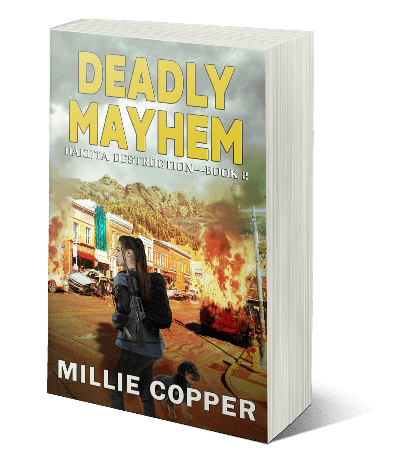 Deadly Mayhem paperback