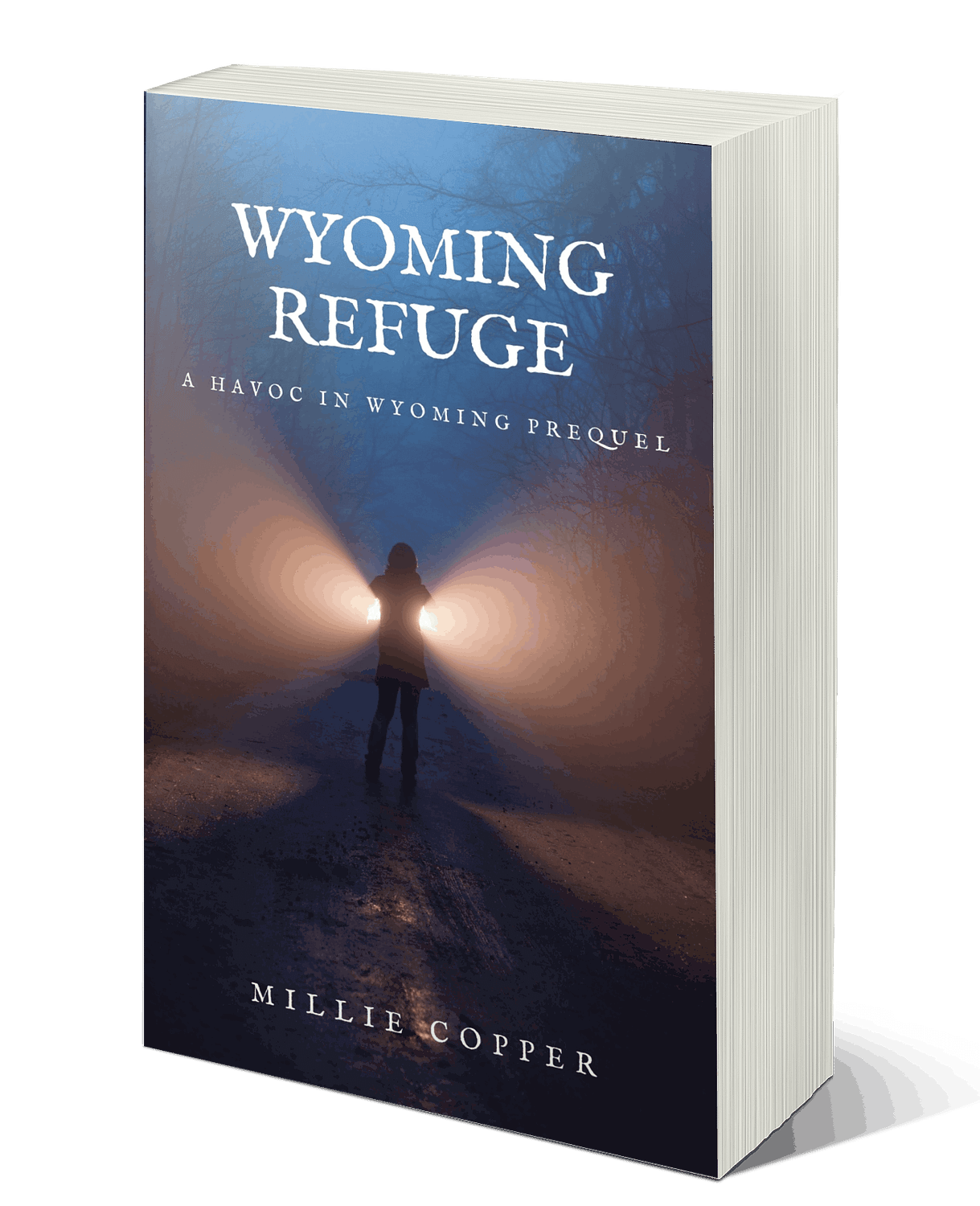 Wyoming Refuge: A Havoc in Wyoming Prequel