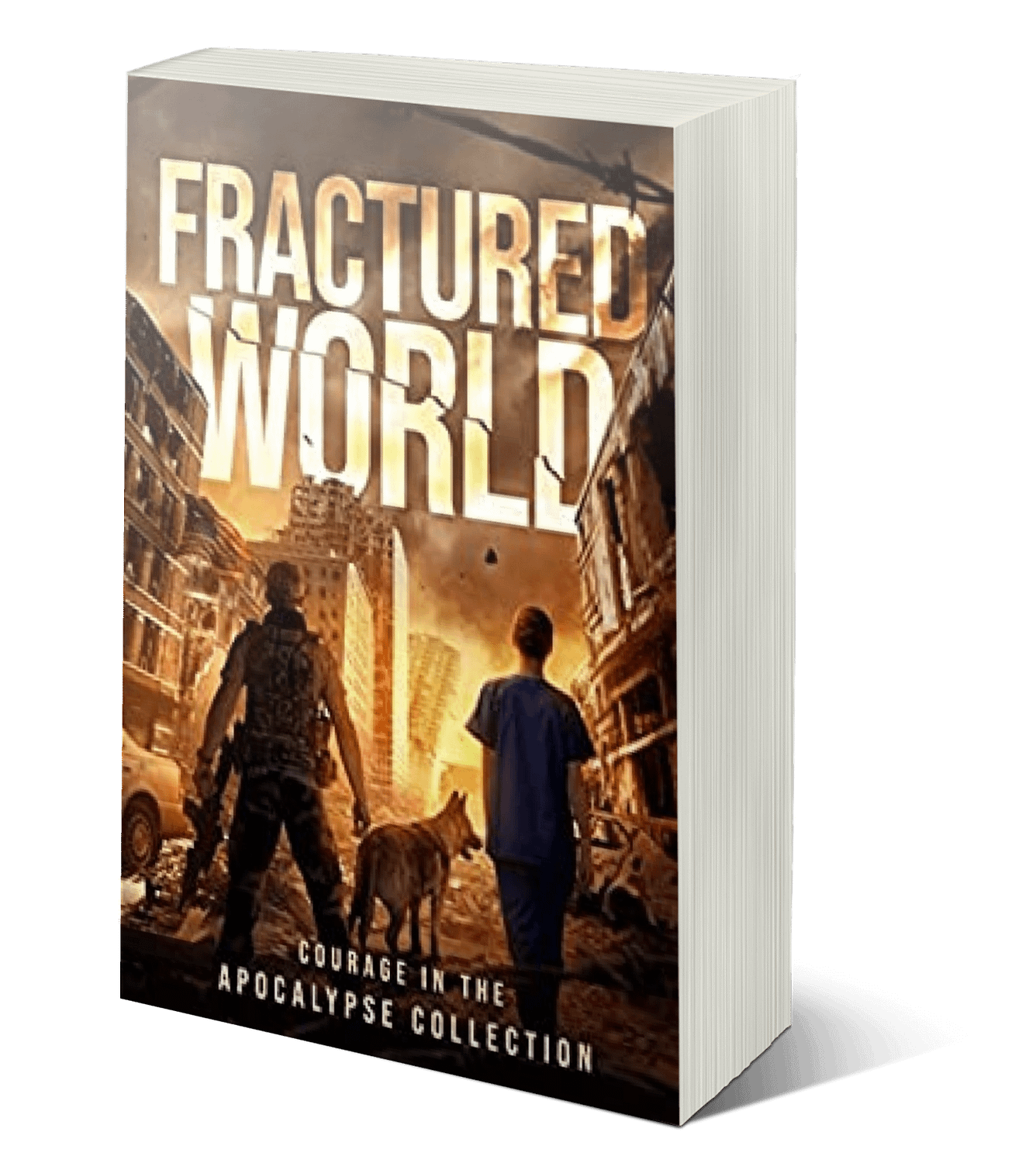 Fractured World paperback